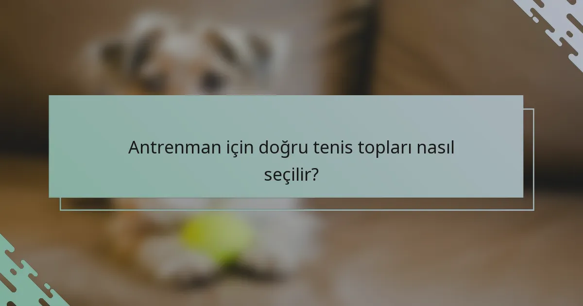 Antrenman için doğru tenis topları nasıl seçilir?