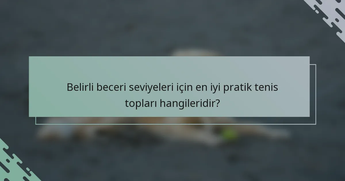 Belirli beceri seviyeleri için en iyi pratik tenis topları hangileridir?