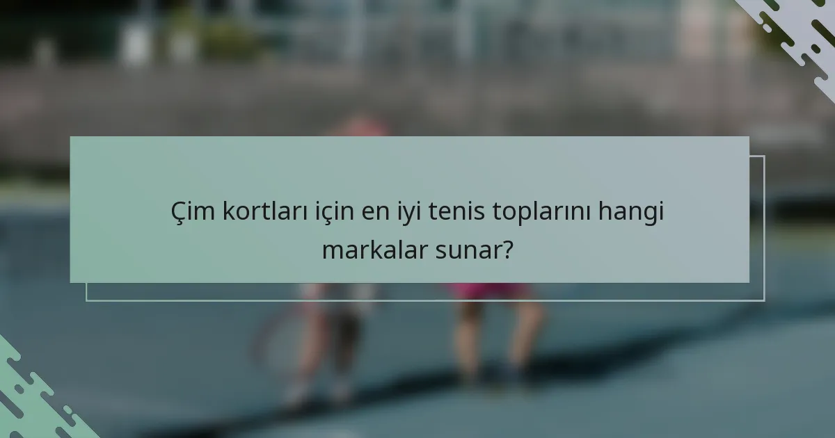 Çim kortları için en iyi tenis toplarını hangi markalar sunar?