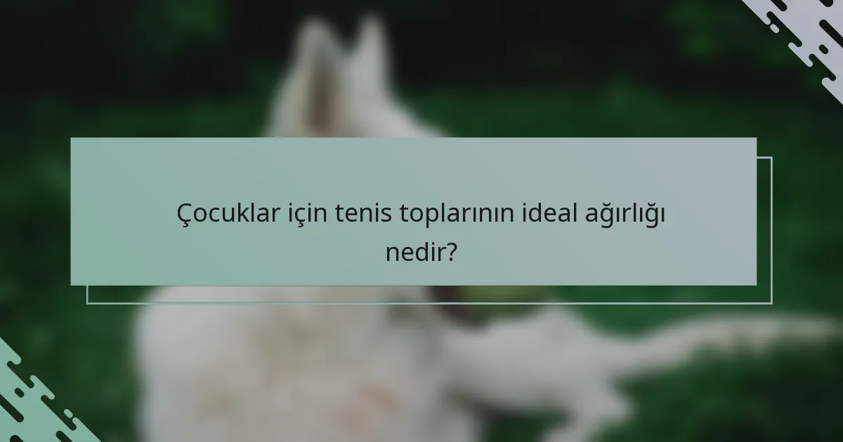 Çocuklar için tenis toplarının ideal ağırlığı nedir?