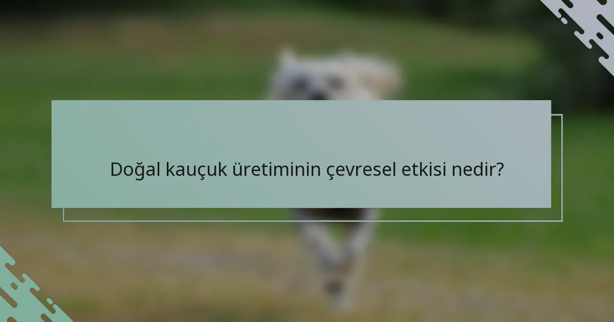 Doğal kauçuk üretiminin çevresel etkisi nedir?
