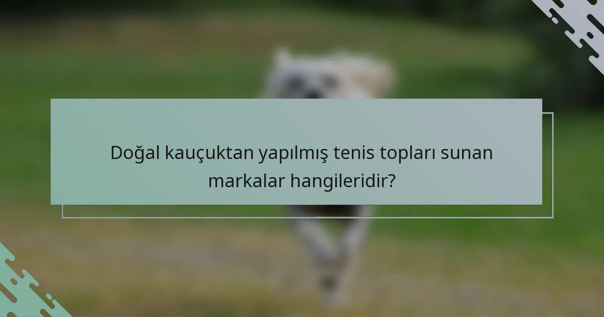 Doğal kauçuktan yapılmış tenis topları sunan markalar hangileridir?