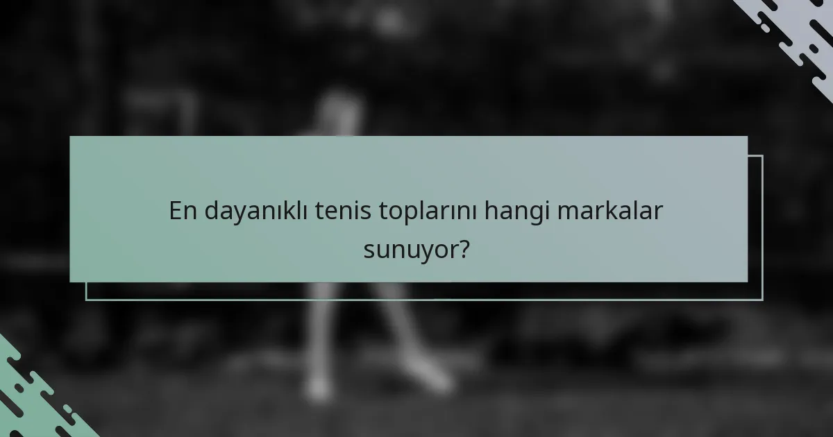 En dayanıklı tenis toplarını hangi markalar sunuyor?