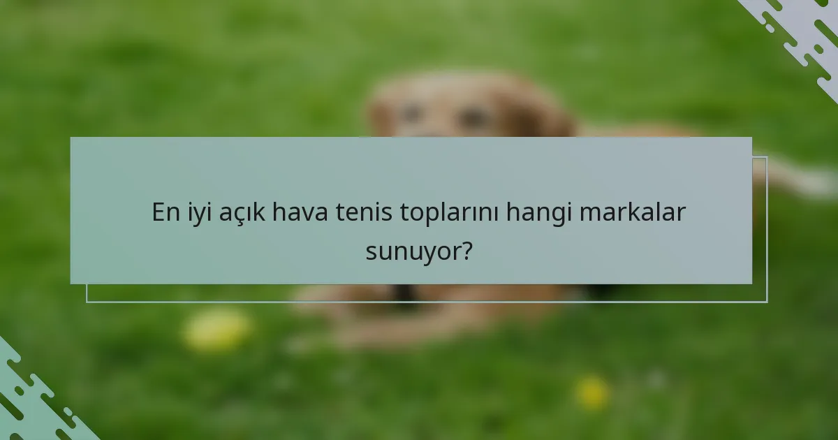 En iyi açık hava tenis toplarını hangi markalar sunuyor?