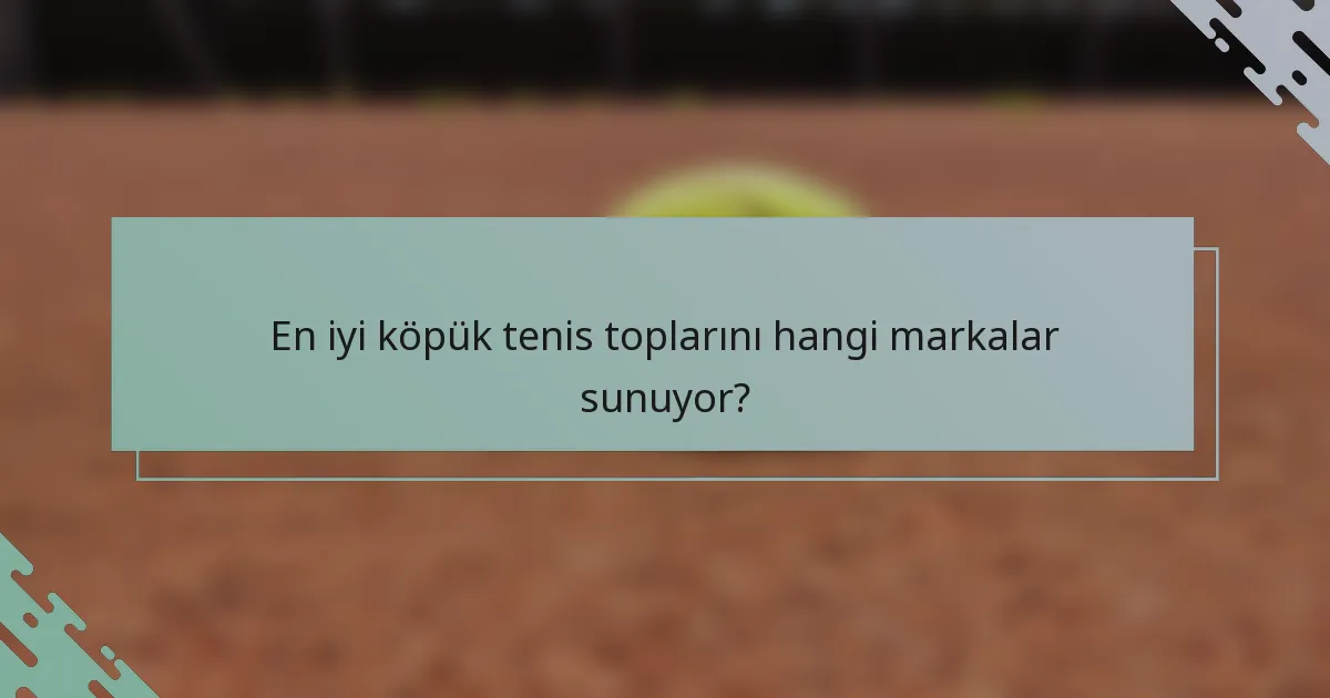 En iyi köpük tenis toplarını hangi markalar sunuyor?