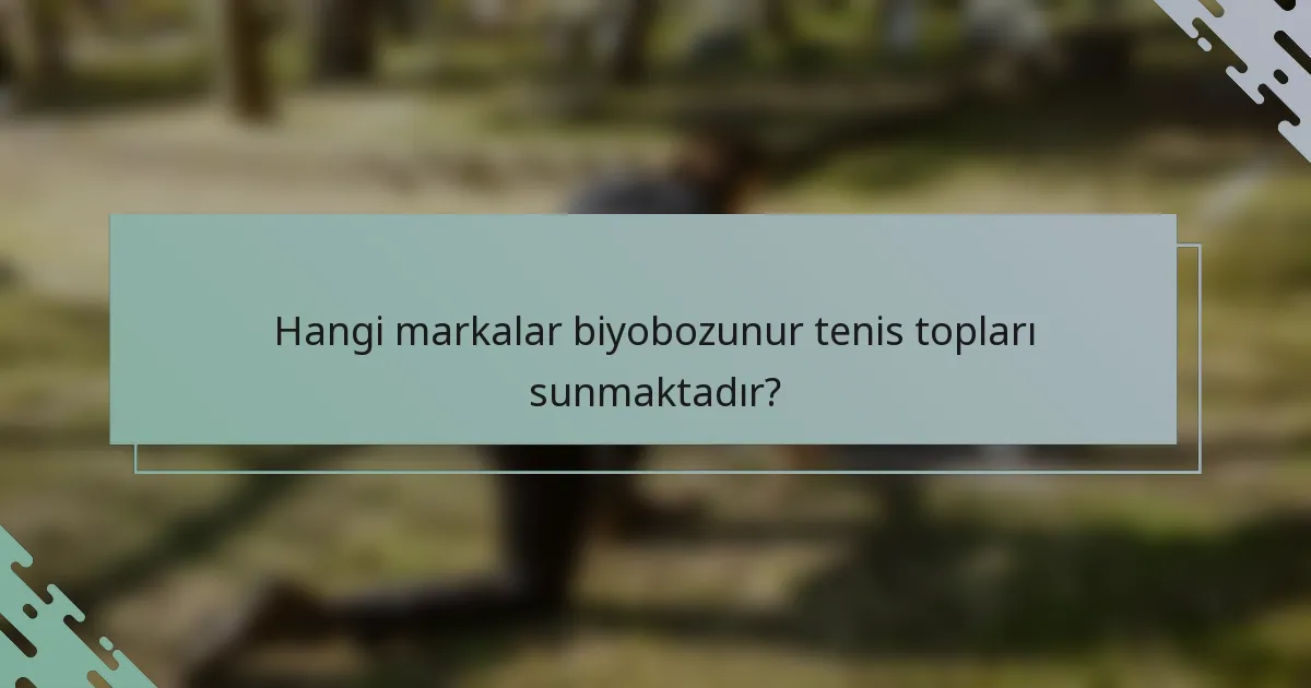 Hangi markalar biyobozunur tenis topları sunmaktadır?