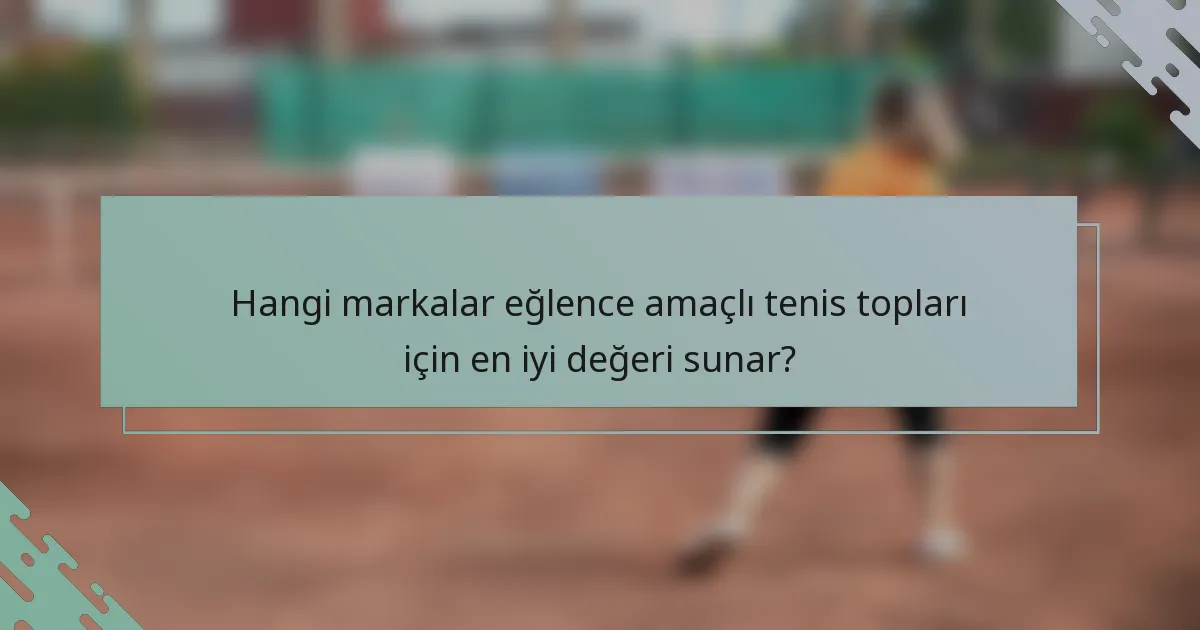 Hangi markalar eğlence amaçlı tenis topları için en iyi değeri sunar?