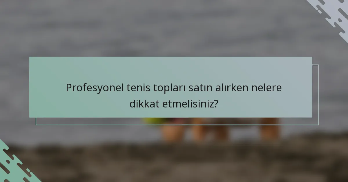 Profesyonel tenis topları satın alırken nelere dikkat etmelisiniz?