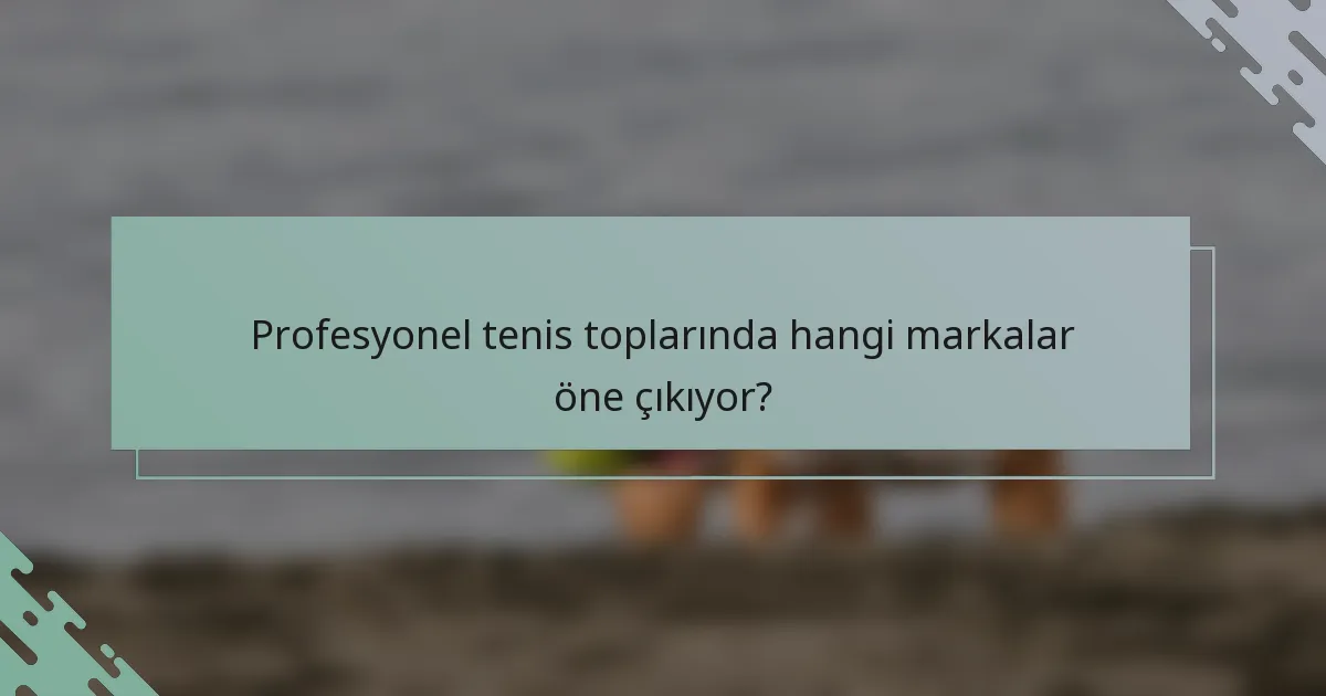 Profesyonel tenis toplarında hangi markalar öne çıkıyor?