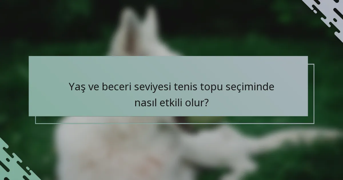 Yaş ve beceri seviyesi tenis topu seçiminde nasıl etkili olur?