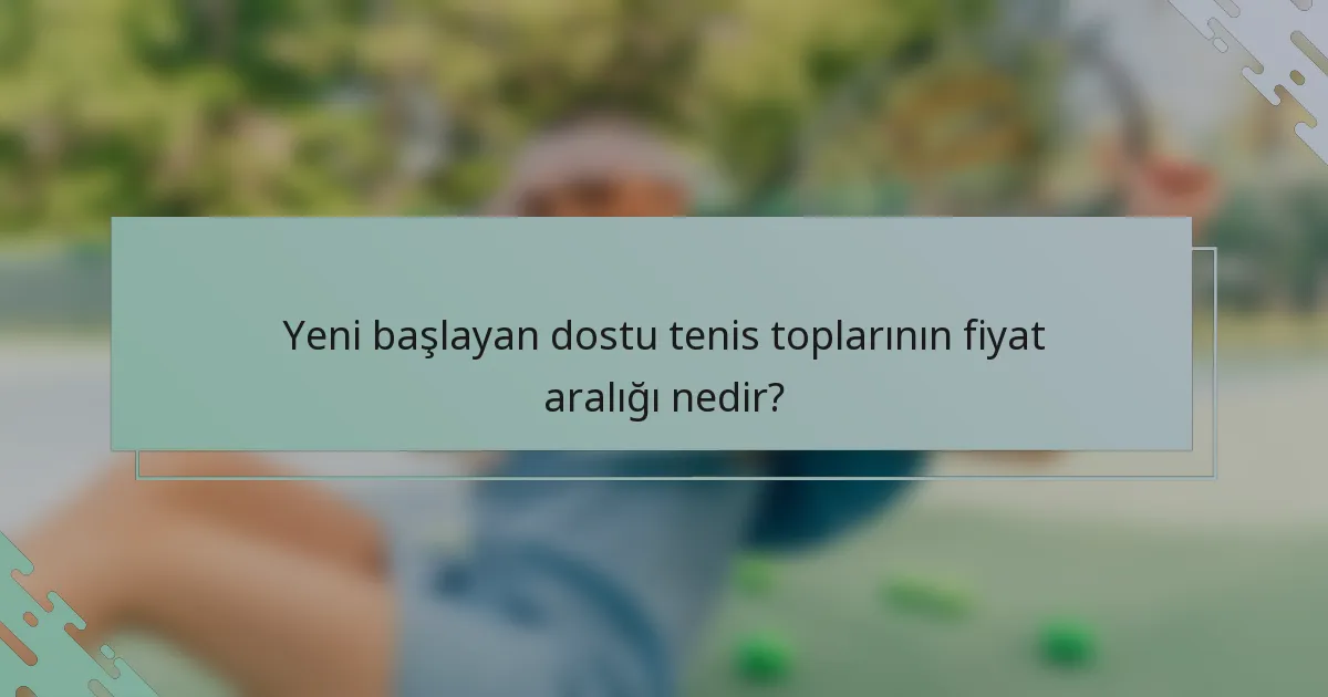 Yeni başlayan dostu tenis toplarının fiyat aralığı nedir?