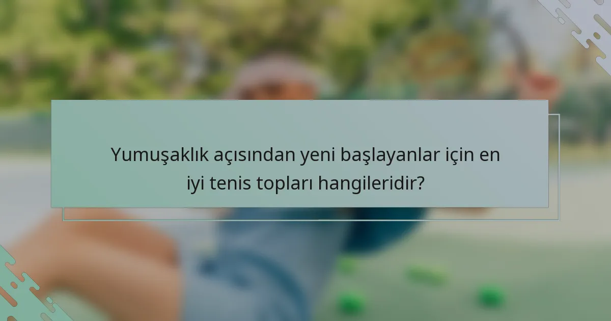 Yumuşaklık açısından yeni başlayanlar için en iyi tenis topları hangileridir?
